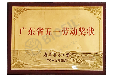 廣東省五一勞動獎(jiǎng)